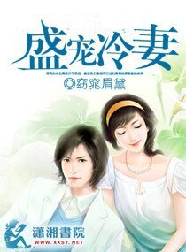 盛宠冷妻/司令大人,盛宠冷妻