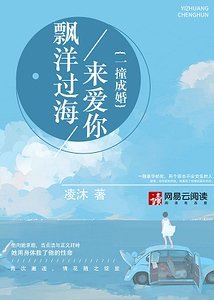 《飄洋過海來愛你:一撞成婚/我在蘇黎世等你》